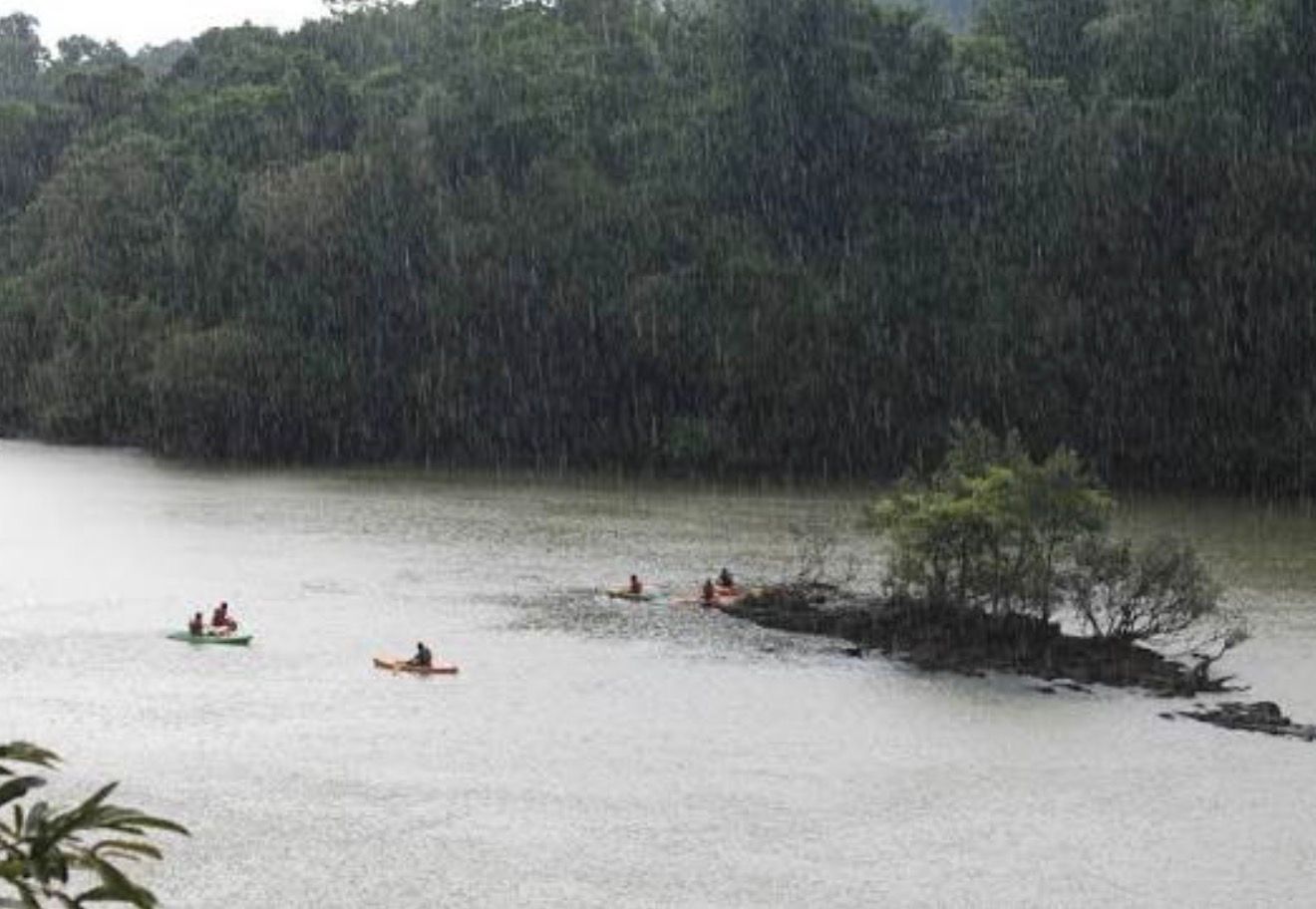 Monsoon in Dandeli